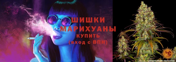 ПСИЛОЦИБИНОВЫЕ ГРИБЫ Новодвинск