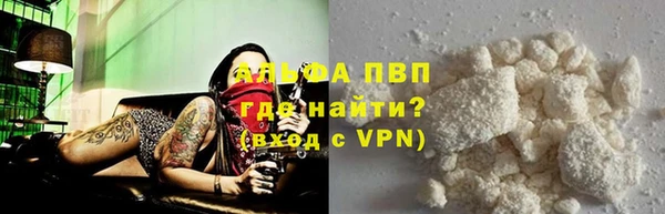spice Новозыбков