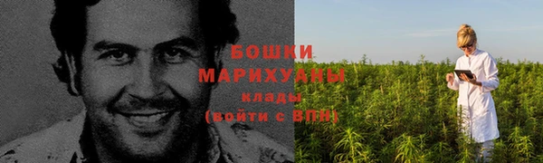 spice Новозыбков