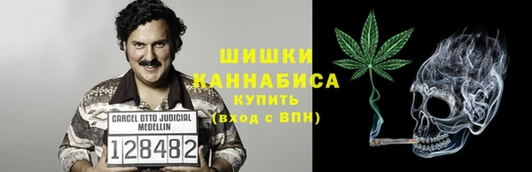 ПСИЛОЦИБИНОВЫЕ ГРИБЫ Новодвинск
