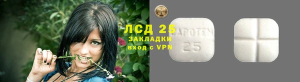 ПСИЛОЦИБИНОВЫЕ ГРИБЫ Новодвинск