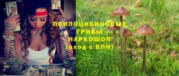 spice Новозыбков
