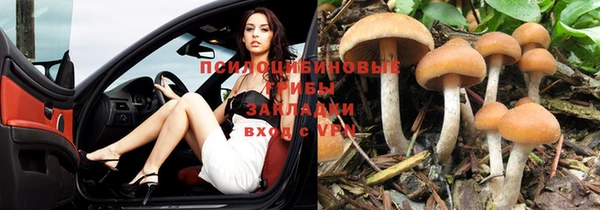 ПСИЛОЦИБИНОВЫЕ ГРИБЫ Новодвинск