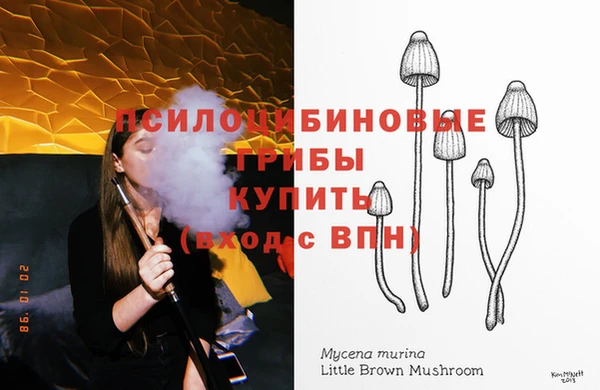 spice Новозыбков