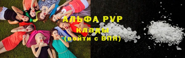 дурь Няндома