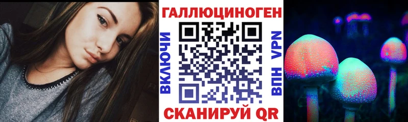 MEGA Димитровград Псилоцибиновые грибы Psilocybe