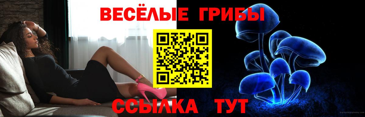 Псилоцибиновые грибы Cubensis  Галлюциногенные грибы Psilocybe  Вход с VPN  Димитровград 